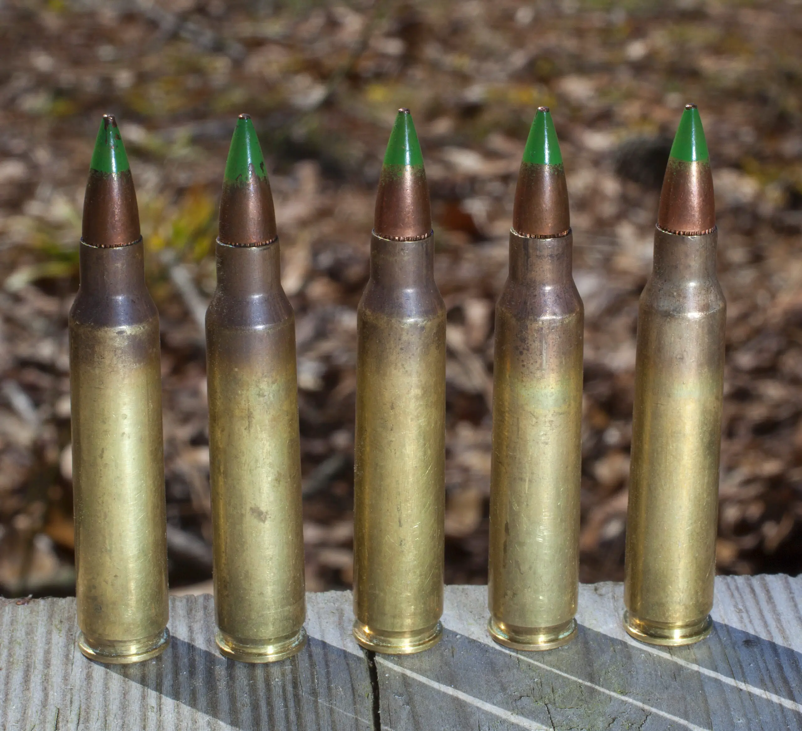 5.56x45mm NATO SS109/M855 cartridges with standard 62 gr. lead core bullets with steel penetrator